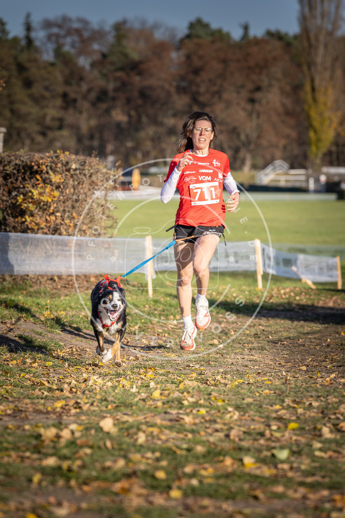 CaniXpix_DV3A1629 | Hundefotografie, Tierfotograf, Pfotenfotografie, Fotoshooting Hund, Hunde Portrait, Hundesport, Hundeportraits, Heideshooting, Hunde, Sportfotograf, Hundefotograf, Turnierhundsport, THS,  - Realisiert mit Pictrs.com