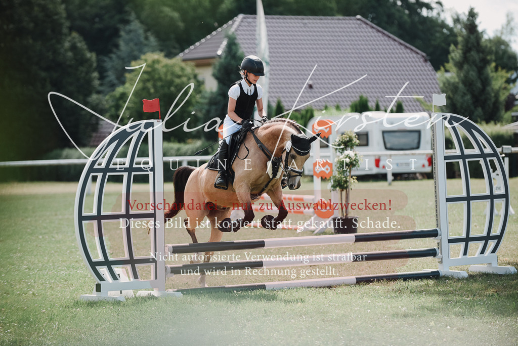 DSC_5862 | Pferde- und Turnierfotografie in Westsachsen. Pferdeportraits, Auftragszeichnungen und intuitive Kunst.