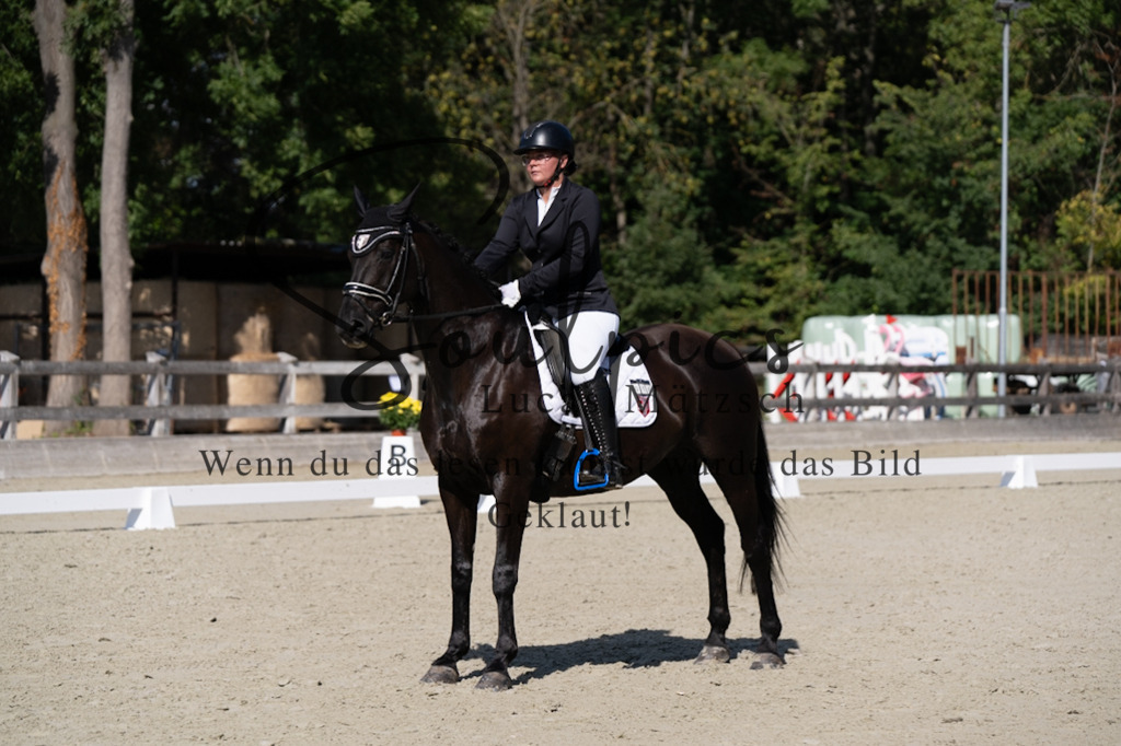 A7V07085 | Turnier/Reitfotograf