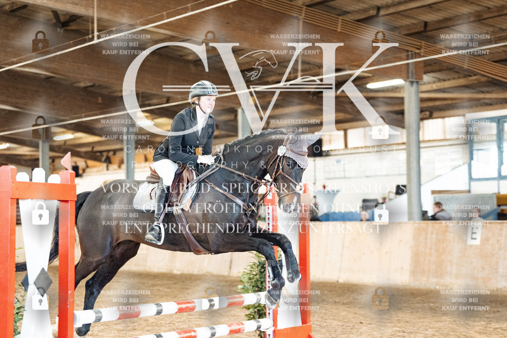 CK903895 | Turnierfotografie Pferdefotografie Trier Rheinland-Pfalz Pferdesport Reitsport Tierfotografie Sportfotografie Pferdevideo Pferdevideografie Equestrianvideography equestrianphotography  - Realisiert mit Pictrs.com