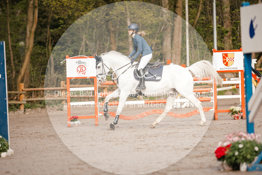 3I6A3267 | Stimmungsvolle Portraits und Reitsportfotografie im Ruhrgebiet und im Münsterland.

Pferdefotografie, Hundefotografie, Tierfotografie, Reportagen, Portraits von Tier und Mensch, Turnierfotografie in Bochum, Recklinghausen, Marl, Haltern am See, Dülmen.. - Realisiert mit Pictrs.com