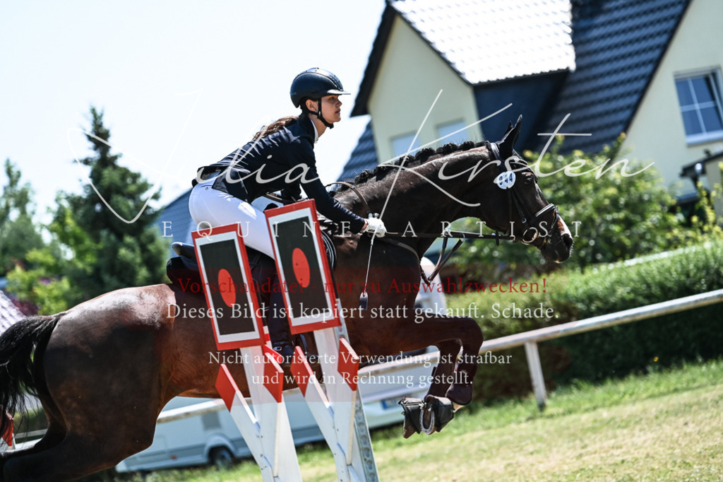 DSC_0441 | Pferde- und Turnierfotografie in Westsachsen. Pferdeportraits, Auftragszeichnungen und intuitive Kunst.