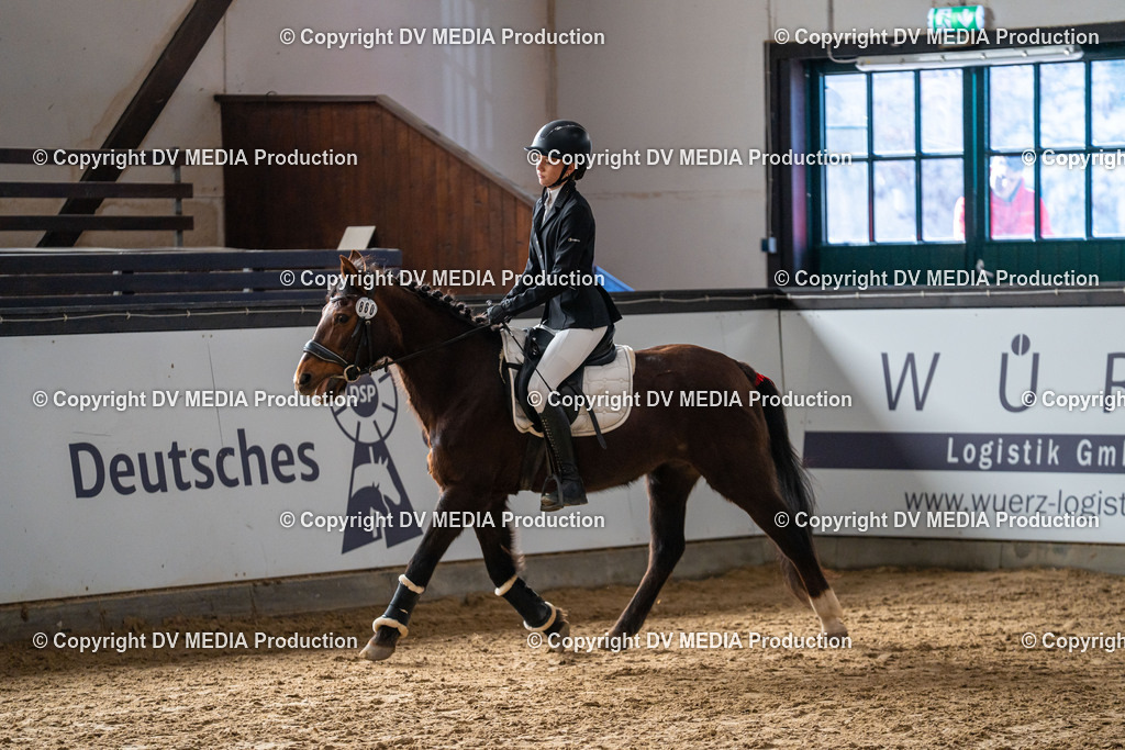 Kranichstein Tag 2-816 | dv-media-shop - Realisiert mit Pictrs.com