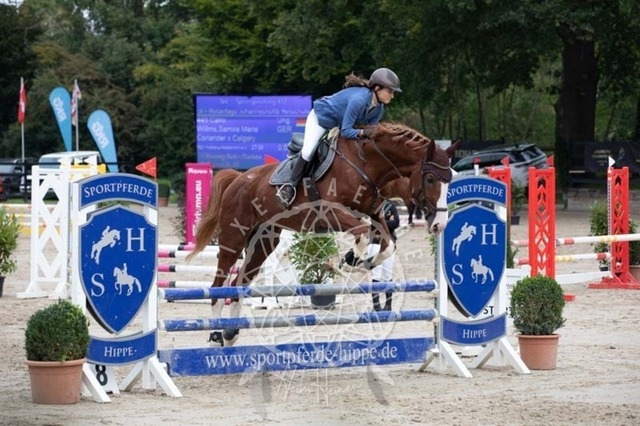 2B4A2345 | pixelfaenger - Realisiert mit Pictrs.com