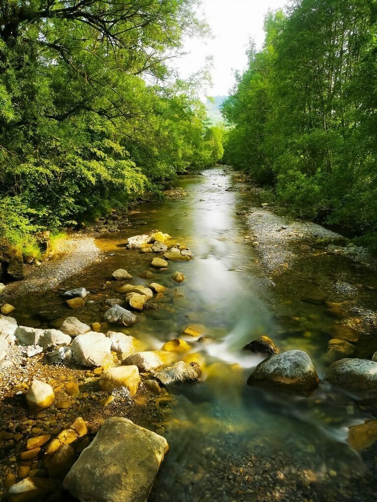 PSX_20220621_225129 | mtkfoto_ - Realisiert mit Pictrs.com