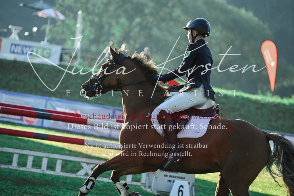 DSC_4121 | Pferde- und Turnierfotografie in Westsachsen. Pferdeportraits, Auftragszeichnungen und intuitive Kunst.