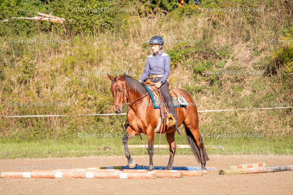 SAL02519 | BS-foto