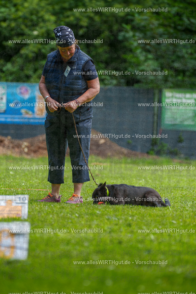 @allesWIRTHgut_Tierfotografie - www.allesWIRTHgut.de - 124618-7R509449 | Professionelle Tierfotografie in Mönchengladbach von Daniel Wirth (allesWIRTHgut). Liebevolle & natürliche Bilder von Hunden & Katzen für unvergessliche Erinnerungen.