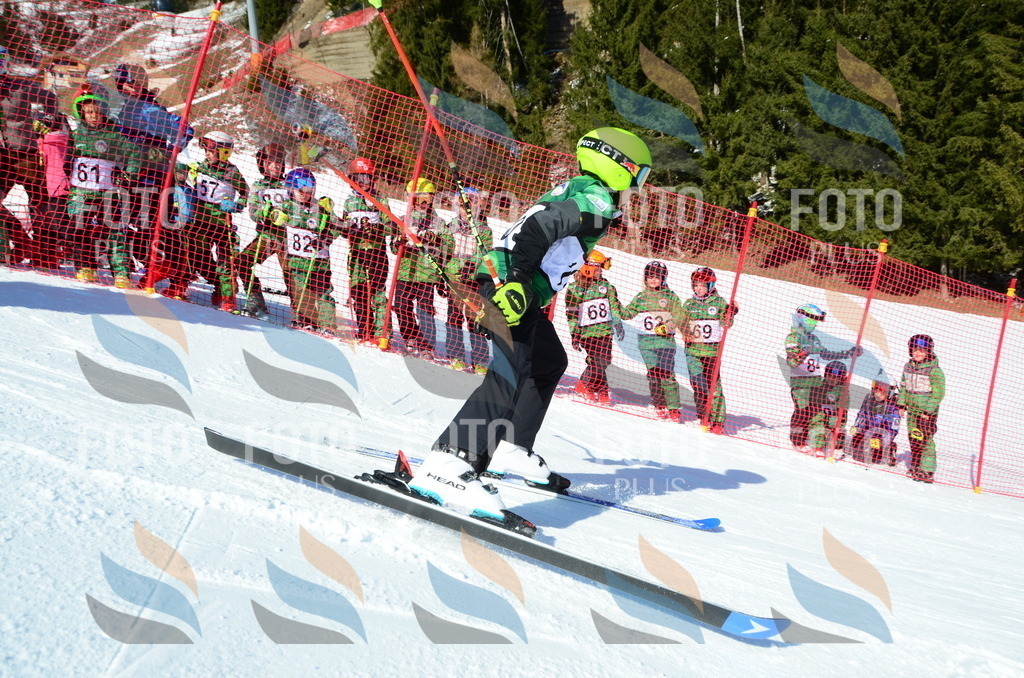 C5163 | holidayphoto