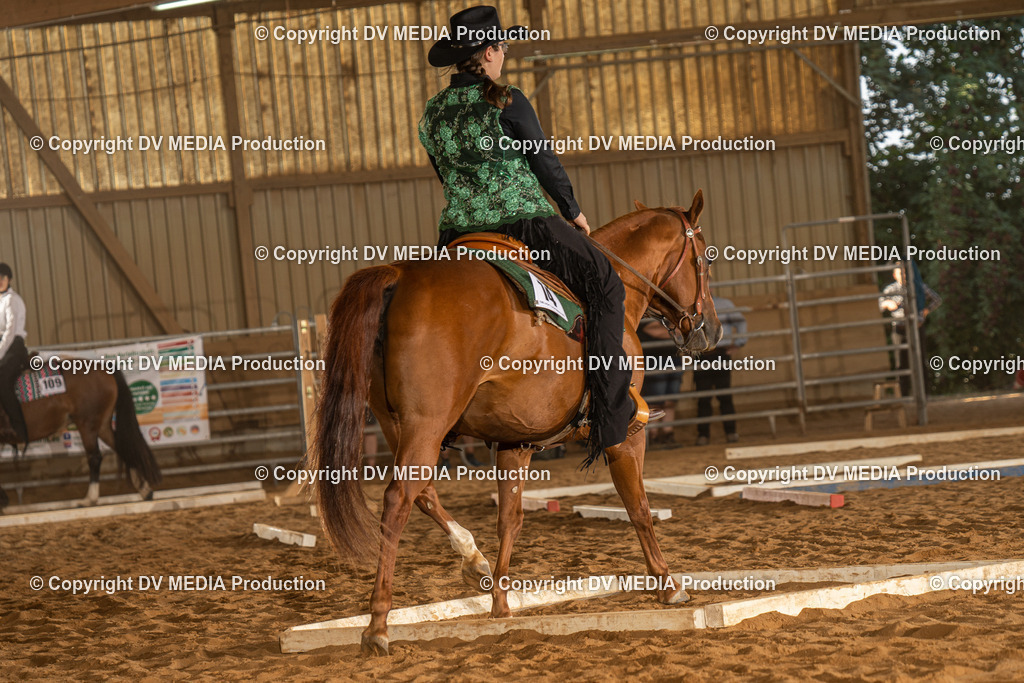 NID02588 | dv-media-shop - Realisiert mit Pictrs.com