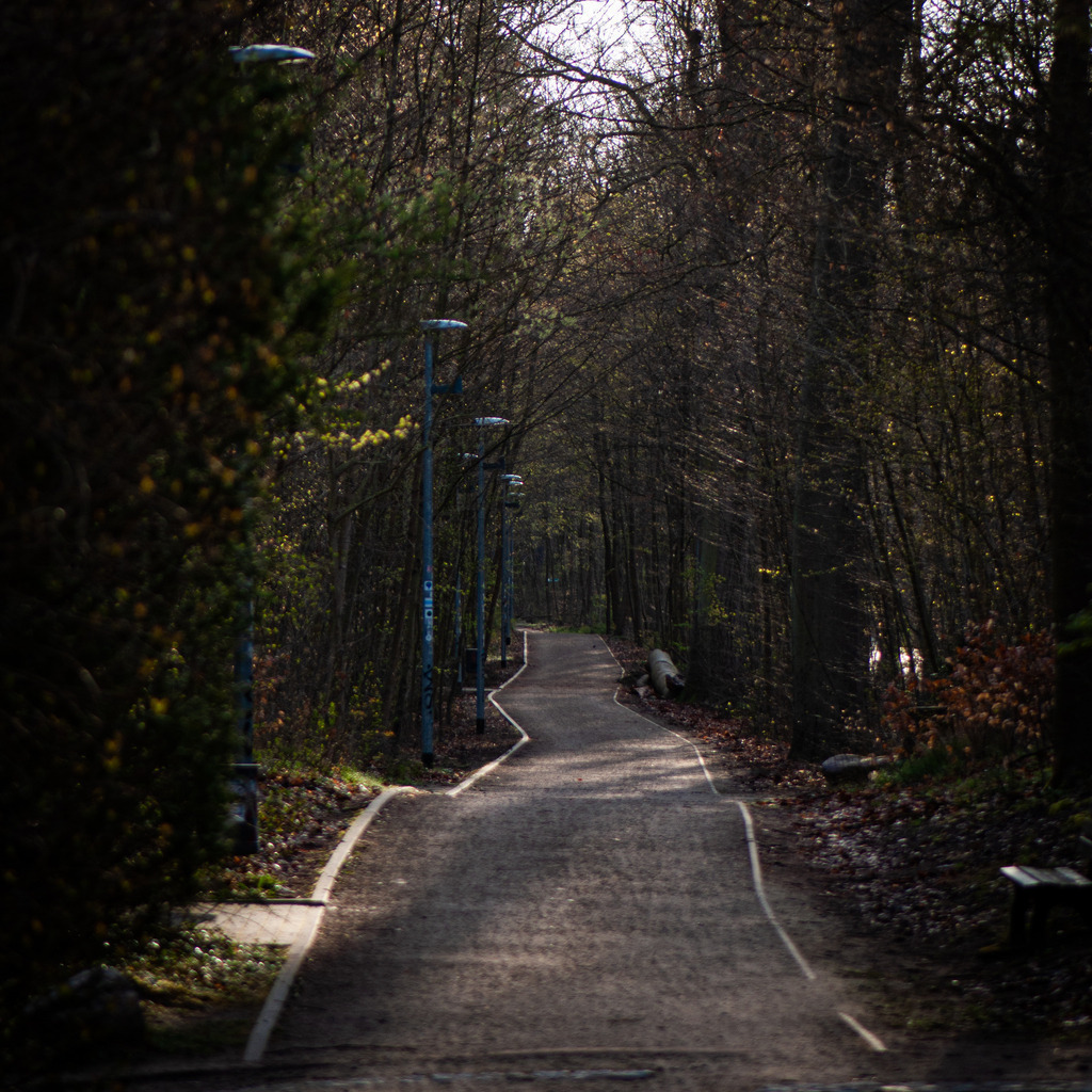 DSC_6063 | kaefersammler_roy - Realisiert mit Pictrs.com