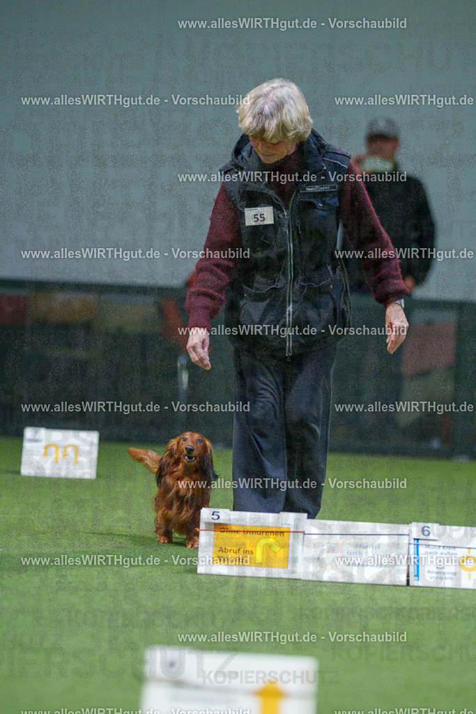 7R506860 | Professionelle Tierfotografie in Mönchengladbach von Daniel Wirth (allesWIRTHgut). Liebevolle & natürliche Bilder von Hunden & Katzen für unvergessliche Erinnerungen.