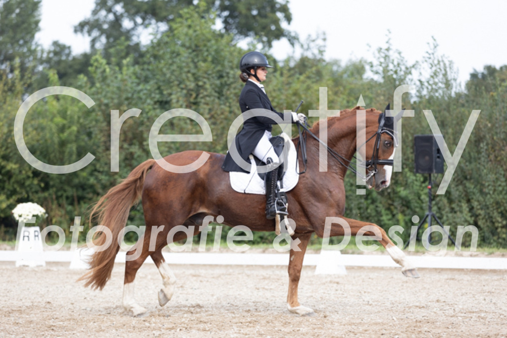 IMG_4736 | Creatify Fotografie