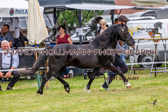 3_MG_3636 (159) | mandyhollmannphotographie