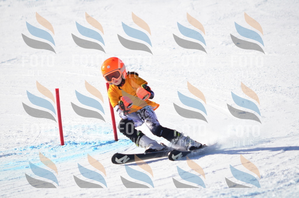 C6079 | holidayphoto