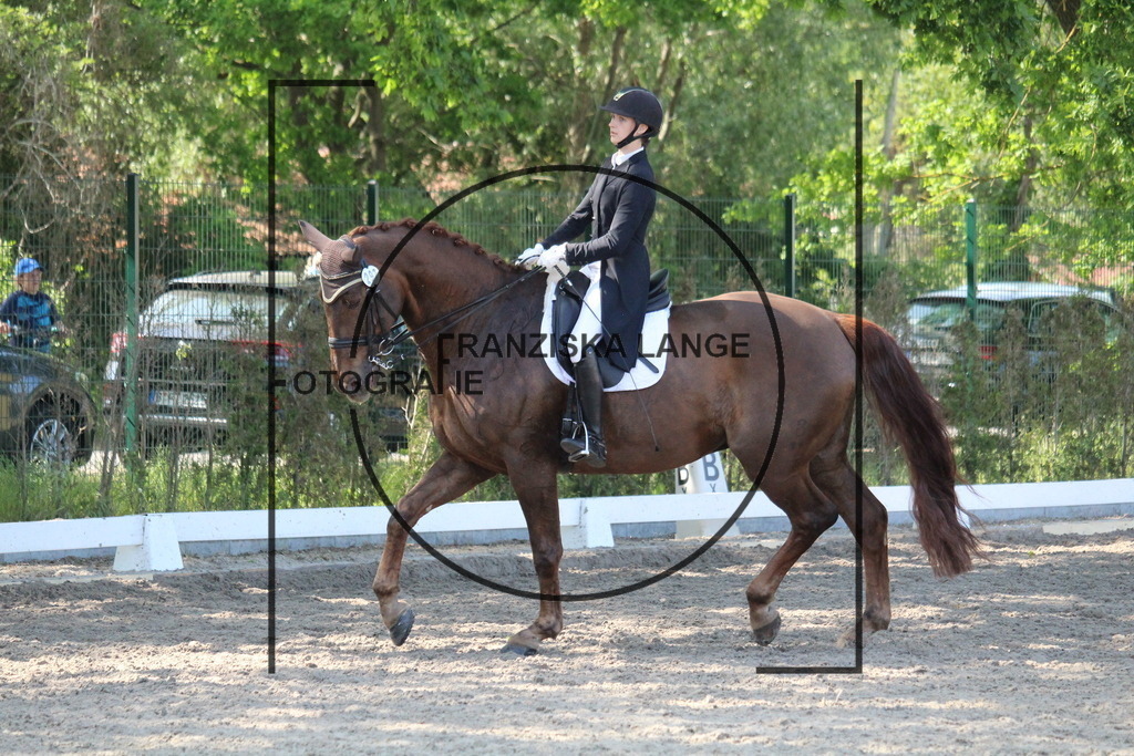 IMG_5488 | franziskalange - Realisiert mit Pictrs.com