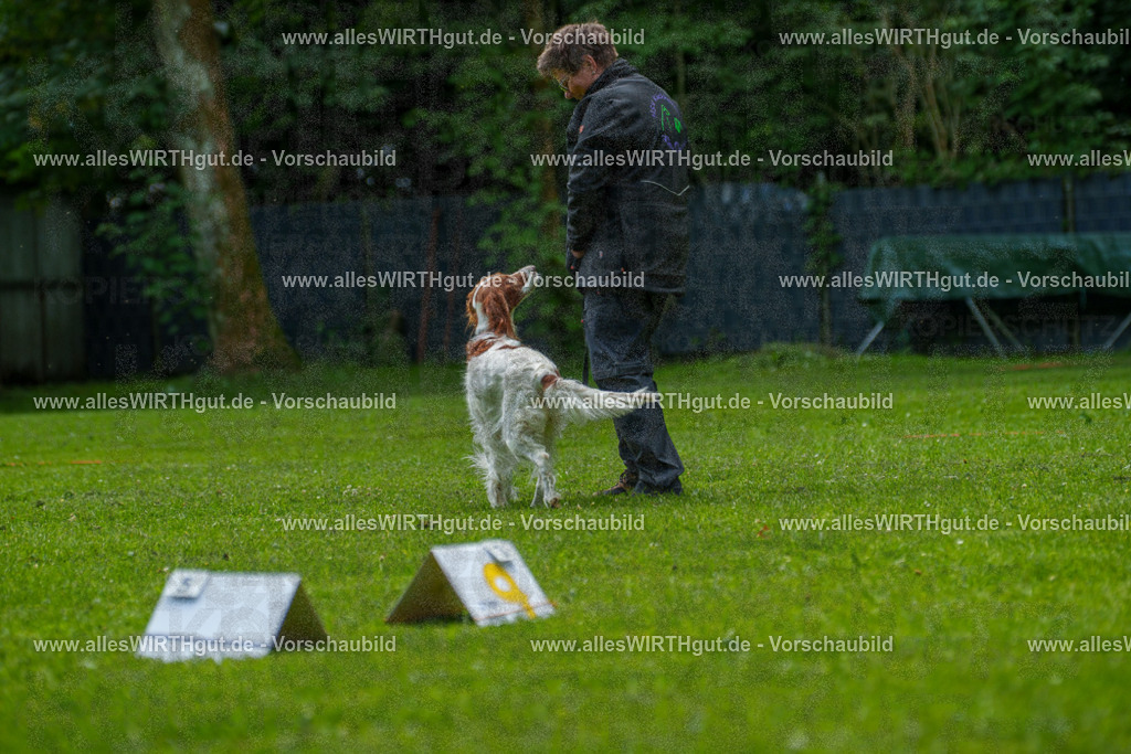 @allesWIRTHgut_Tierfotografie - www.allesWIRTHgut.de - 7R505820 | Professionelle Tierfotografie in Mönchengladbach von Daniel Wirth (allesWIRTHgut). Liebevolle & natürliche Bilder von Hunden & Katzen für unvergessliche Erinnerungen.