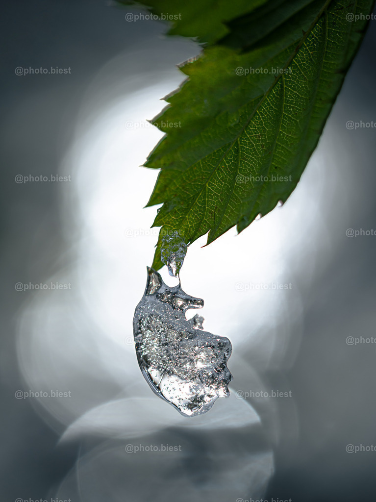 Eisamulett | Ein Eisstück am Blatt hängend. - Realisiert mit Pictrs.com