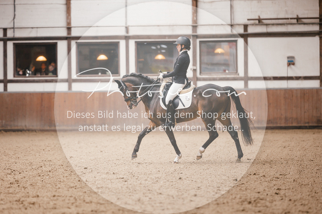 3I6A9009 | Stimmungsvolle Portraits und Reitsportfotografie im Ruhrgebiet und im Münsterland.

Pferdefotografie, Hundefotografie, Tierfotografie, Reportagen, Portraits von Tier und Mensch, Turnierfotografie in Bochum, Recklinghausen, Marl, Haltern am See, Dülmen.. - Realisiert mit Pictrs.com