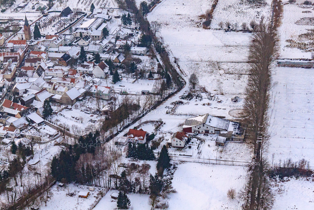 Luftbild: Weberhof bei Schnee in Billigheim-Ingenheim im Bundesland Rheinland-Pfalz in Deutschland. Foto: IMG_23762.jpg vom 16.01.2010 durch Werner Riehm/FLY-FOTO.de