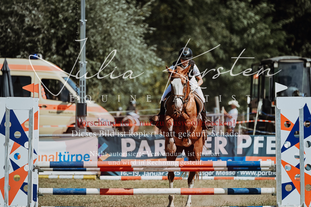 DSC_9521 | Pferde- und Turnierfotografie in Westsachsen. Pferdeportraits, Auftragszeichnungen und intuitive Kunst.