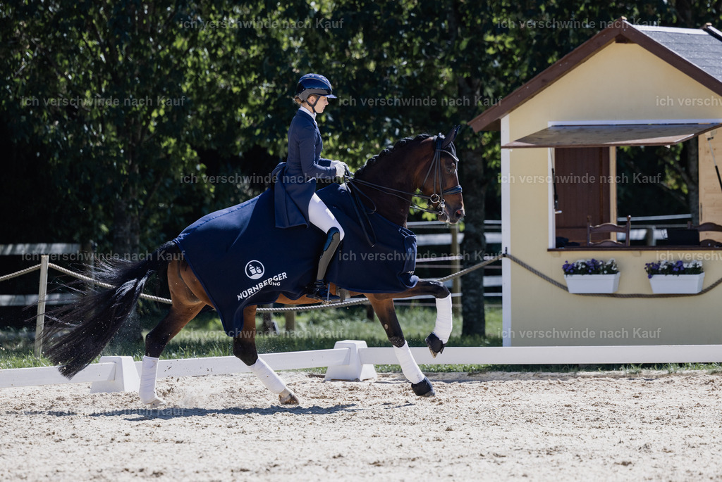 FHC2026_P12_Siegerehrung_19691 | working equitationturnier fotograf videograf stoibphotography marixx film working equitation deutschland reitsport turnierfotografie eventfotografie equestrian events