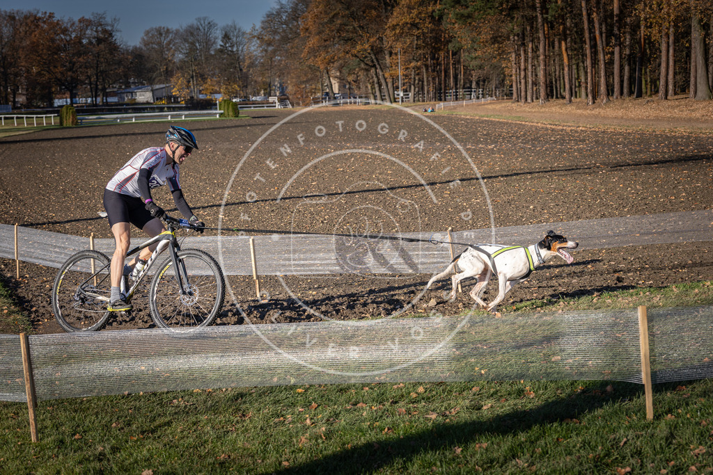 CaniXpix_DV3A2765 | Hundefotografie, Tierfotograf, Pfotenfotografie, Fotoshooting Hund, Hunde Portrait, Hundesport, Hundeportraits, Heideshooting, Hunde, Sportfotograf, Hundefotograf, Turnierhundsport, THS,  - Realisiert mit Pictrs.com