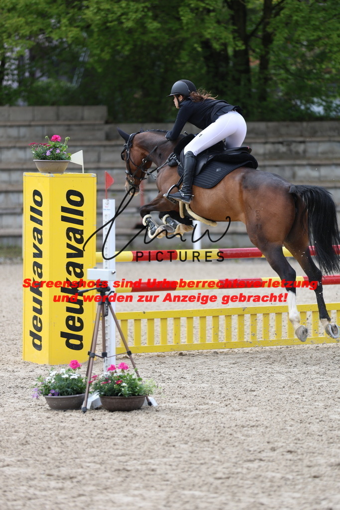 A40A2044 | lmwpictures - Realisiert mit Pictrs.com