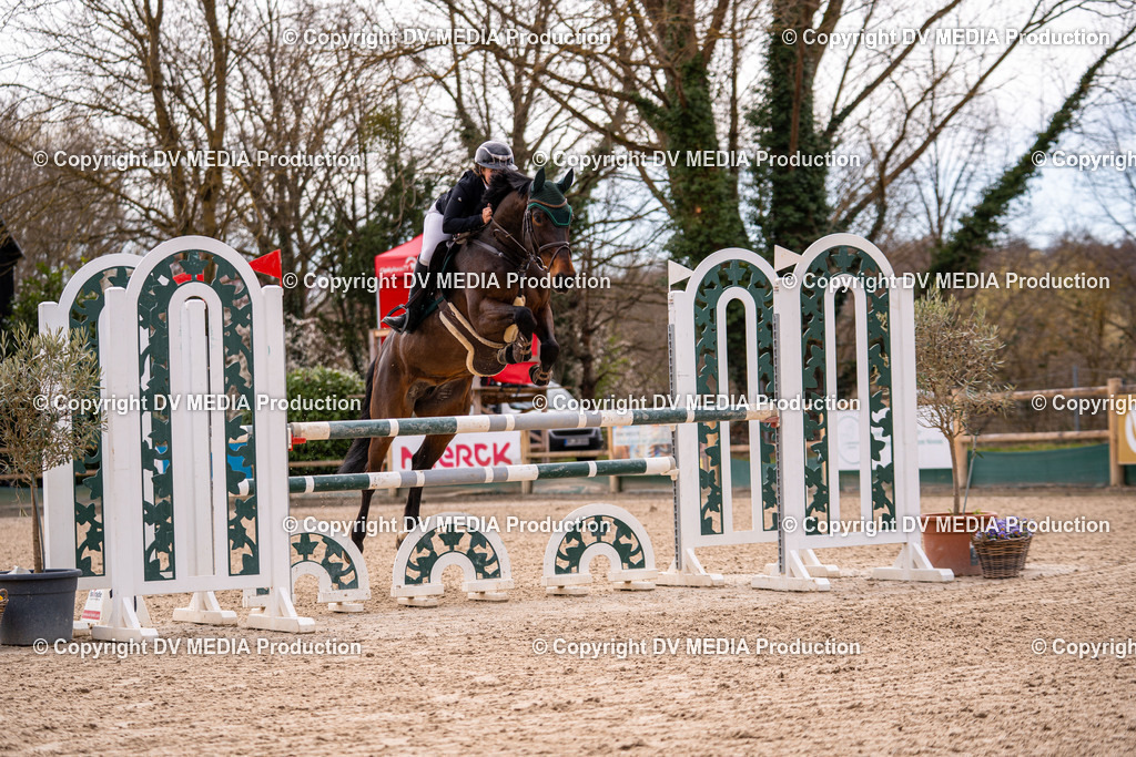 Kranichstein Tag 2-636 | dv-media-shop - Realisiert mit Pictrs.com