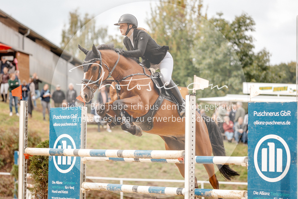 3I6A8247 | Stimmungsvolle Portraits und Reitsportfotografie im Ruhrgebiet und im Münsterland.

Pferdefotografie, Hundefotografie, Tierfotografie, Reportagen, Portraits von Tier und Mensch, Turnierfotografie in Bochum, Recklinghausen, Marl, Haltern am See, Dülmen.. - Realisiert mit Pictrs.com