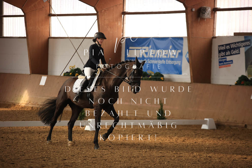 IMGT7413 | pl-fotografie