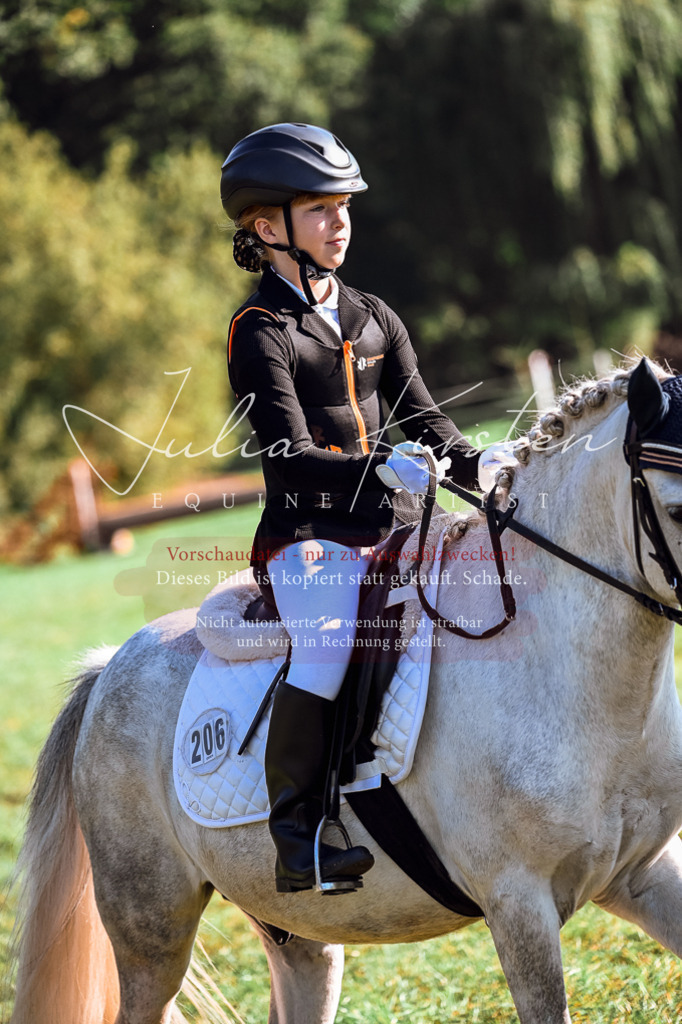 DSC_0420 | Pferde- und Turnierfotografie in Westsachsen. Pferdeportraits, Auftragszeichnungen und intuitive Kunst.
