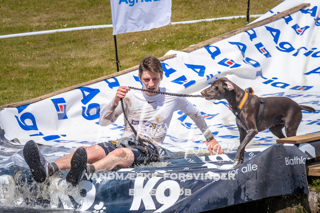 _ZZ988881047 | kk-dogfotos