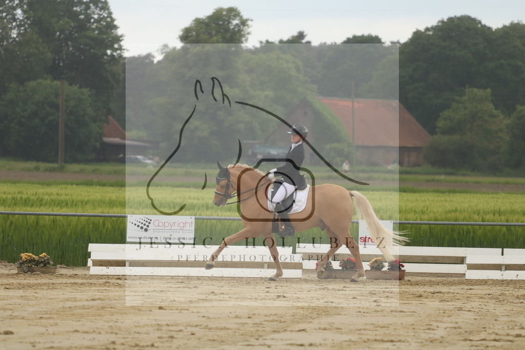 IMG_7303 | jessicahollubetz_pferdephotographie - Realisiert mit Pictrs.com