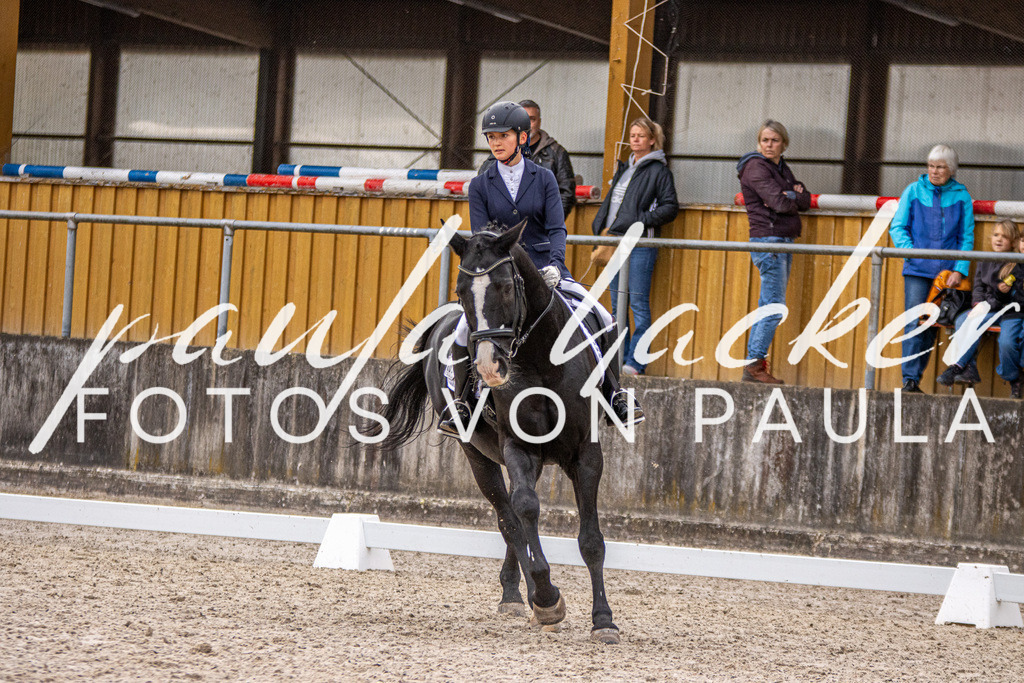 IMG_2782 | Erleben Sie dynamische Sport- und emotionale Tierfotografie in Süddeutschland mit Fotos von Paula. Spezialisiert auf Pferde- und Hundefotografie sowie Sportevents. Kontaktieren Sie mich für einzigartige und ausdrucksstarke Bilder Ihrer besonderen Momente.