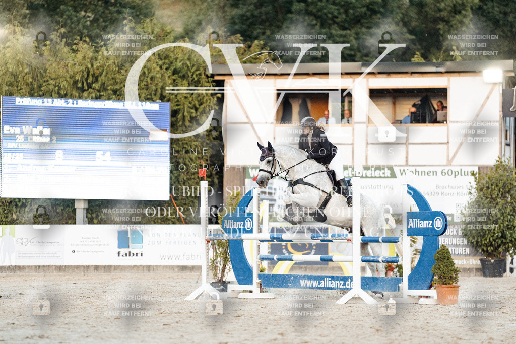 CK901529 | Turnierfotografie Pferdefotografie Trier Rheinland-Pfalz Pferdesport Reitsport Tierfotografie Sportfotografie Pferdevideo Pferdevideografie Equestrianvideography equestrianphotography  - Realisiert mit Pictrs.com