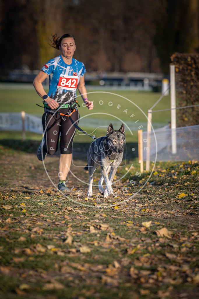 CaniXpix_DV3A3718 | Hundefotografie, Tierfotograf, Pfotenfotografie, Fotoshooting Hund, Hunde Portrait, Hundesport, Hundeportraits, Heideshooting, Hunde, Sportfotograf, Hundefotograf, Turnierhundsport, THS,  - Realisiert mit Pictrs.com