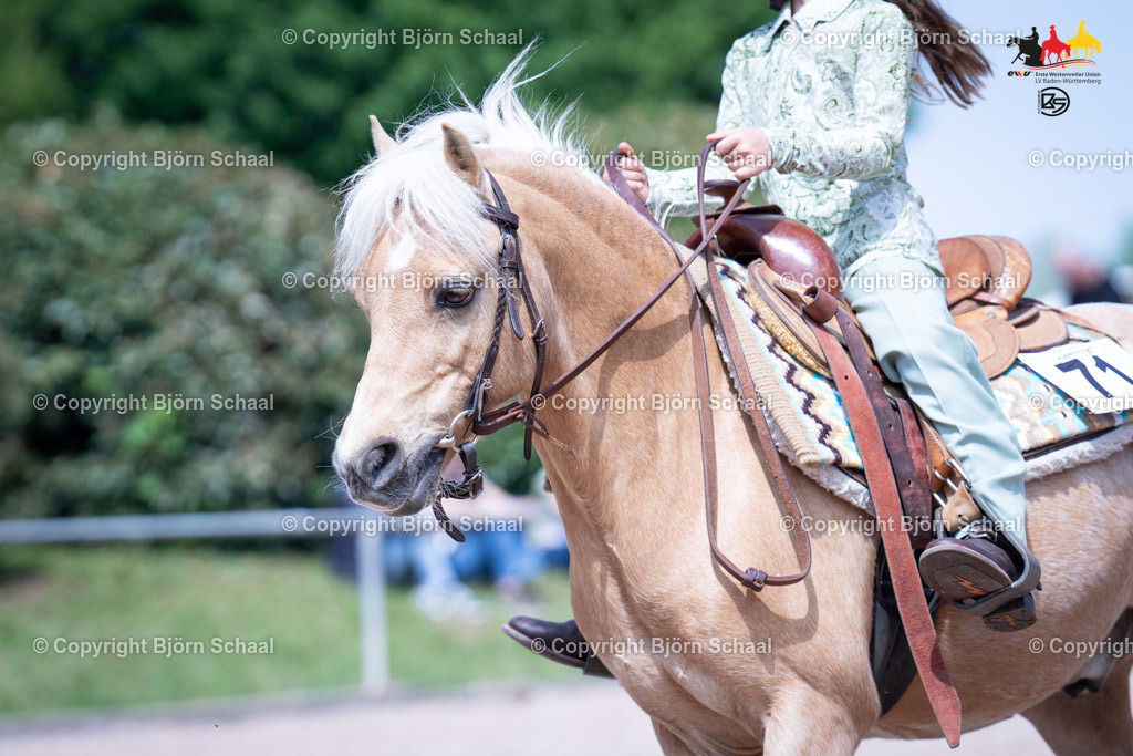 LMB07746 | BS-foto