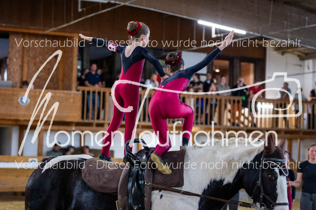 GS-NS-133 | MomenTaufnahmen Pferdesportfotos