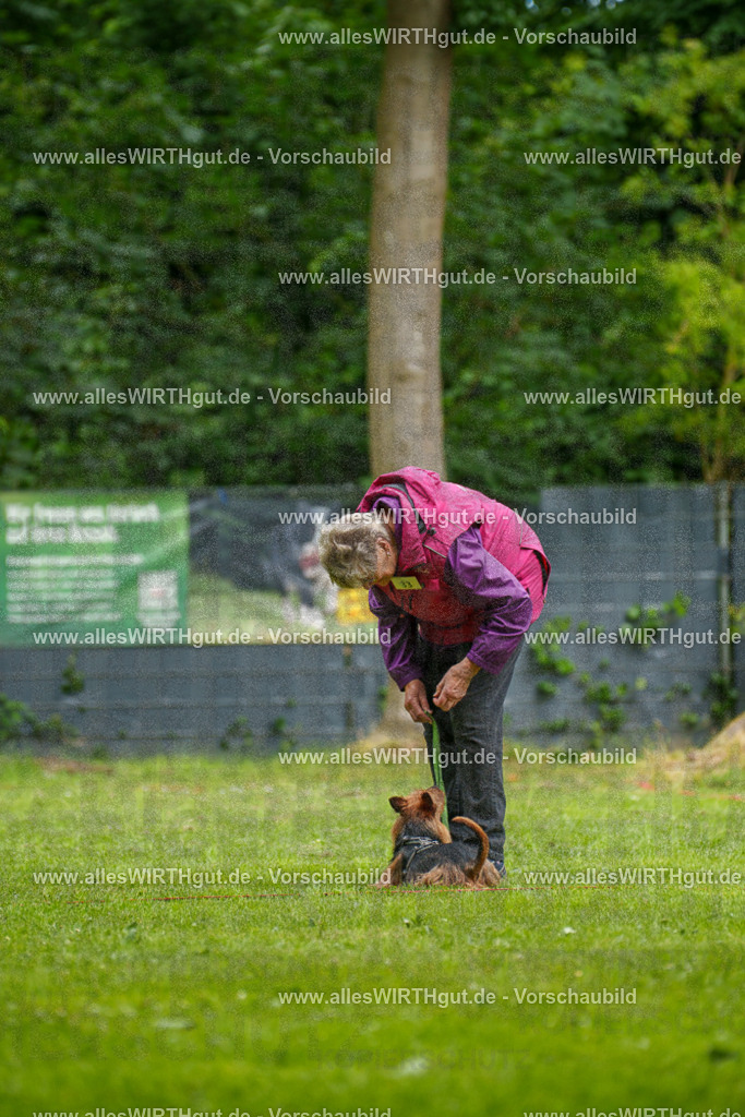@allesWIRTHgut_Tierfotografie - www.allesWIRTHgut.de - 131038-7R509903 | Professionelle Tierfotografie in Mönchengladbach von Daniel Wirth (allesWIRTHgut). Liebevolle & natürliche Bilder von Hunden & Katzen für unvergessliche Erinnerungen.