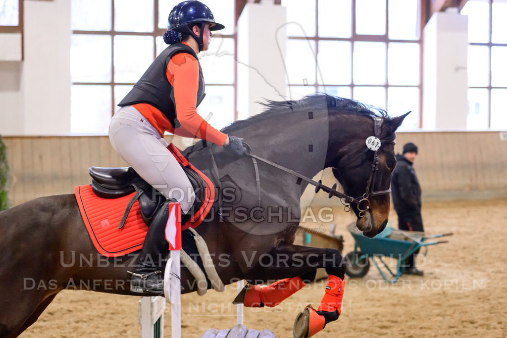 29032026-Schwaiganger-Prfg03-1-1430 | Fokus Hufschlag Fotografie - Realisiert mit Pictrs.com