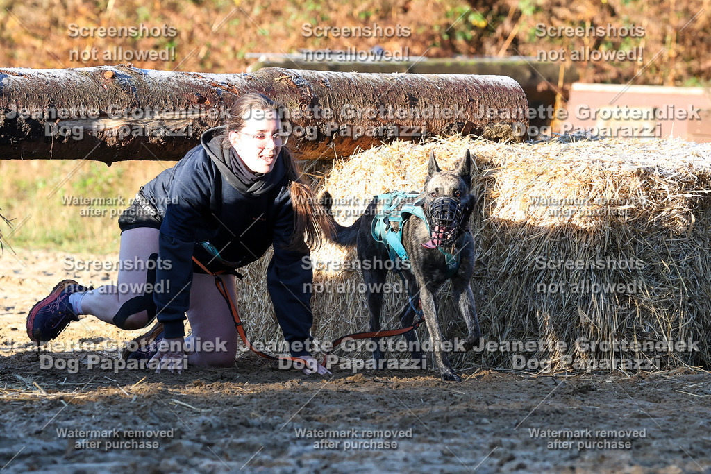 Dog Paparazzi - Strongdog 10-25-739 | Dog Paparazzi Jeanette Grottendiek Fotografie & Videografie - Realisiert mit Pictrs.com