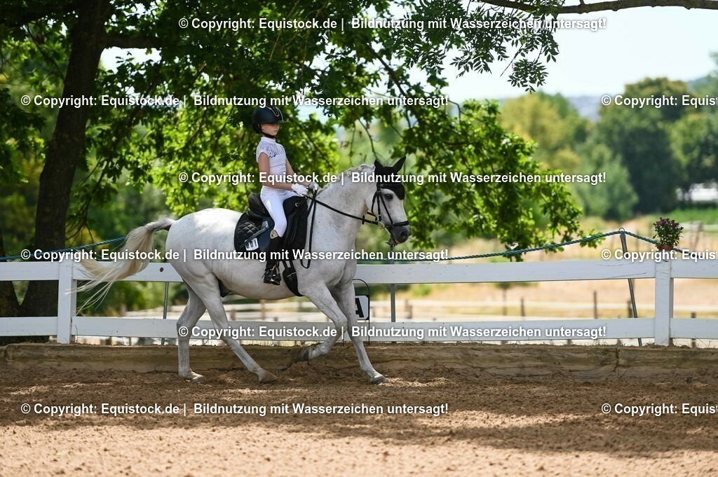 20230715_09_Dressur-WB_0060 | equistock