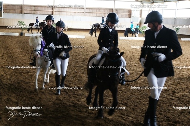 JugendTrophy1211 | Fotografie, Tiere, Hunde, Katzen, Pferde, Sportfotografie, Fotosession, Tierfotografie, Turnierfotografie, Fotografin, Fotograf - Realisiert mit Pictrs.com