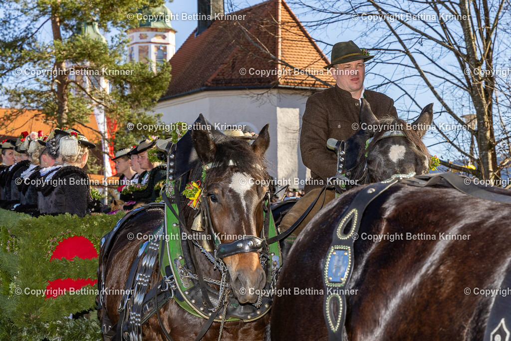 LBT25-1331 | foto-bettina-krinner - Realisiert mit Pictrs.com