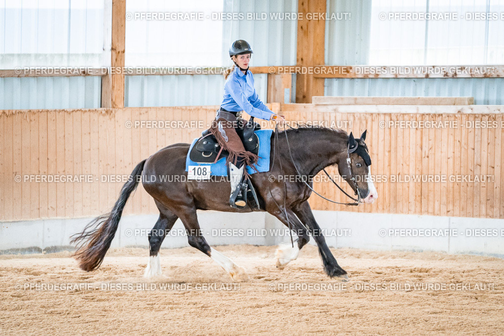 DSC09750 | Pferdegrafie