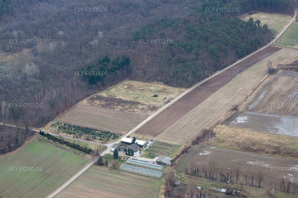 Luftbild: Gärtnerei am Erlenbach in Erlenbach bei Kandel im Bundesland Rheinland-Pfalz in Deutschland. Foto: IMG_37271.jpg vom 23.01.2011 durch Werner Riehm/FLY-FOTO.de