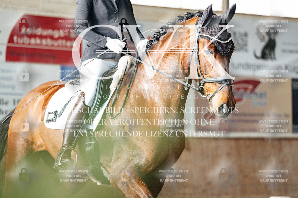 CK903090 | Turnierfotografie Pferdefotografie Trier Rheinland-Pfalz Pferdesport Reitsport Tierfotografie Sportfotografie Pferdevideo Pferdevideografie Equestrianvideography equestrianphotography  - Realisiert mit Pictrs.com