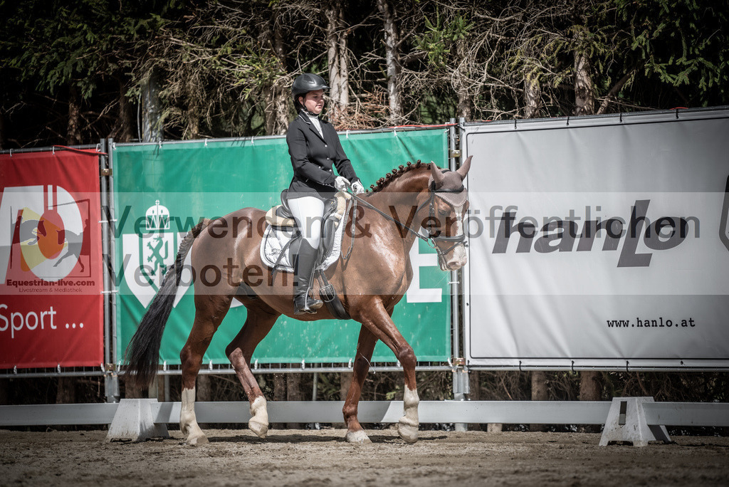 DSC_2970 | equestrian-live-com