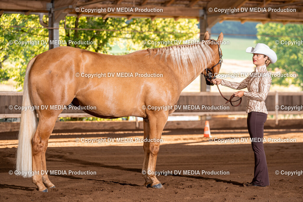 Erbach Tag 3-35 | dv-media-shop - Realisiert mit Pictrs.com